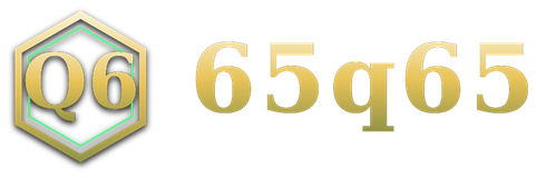 65q65 logo